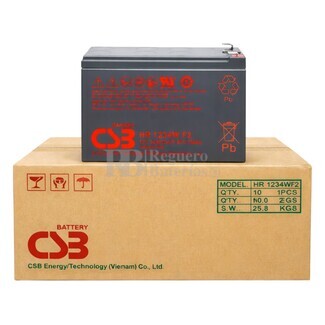 Pack 10 bater�as CSB HR1234WF2 | 12 Voltios 9 Amperios AGM